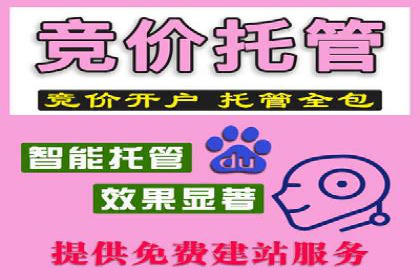 sem百度竞价广告优化技巧及成功案例探讨